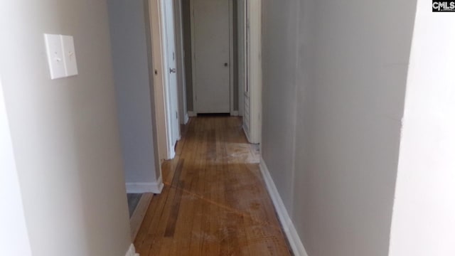 3208 Downes Grove Rd, Columbia, SC 29209 - corridor with light wood-type flooring