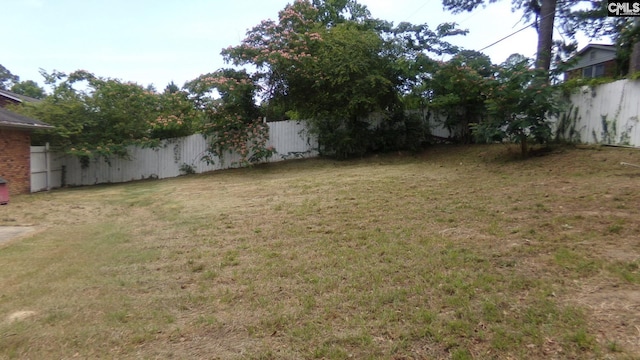 3208 Downes Grove Rd, Columbia, SC 29209 - view of yard