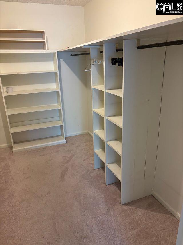 100 Clee Hill Ct, Irmo, SC 29063 - walk in closet featuring carpet flooring