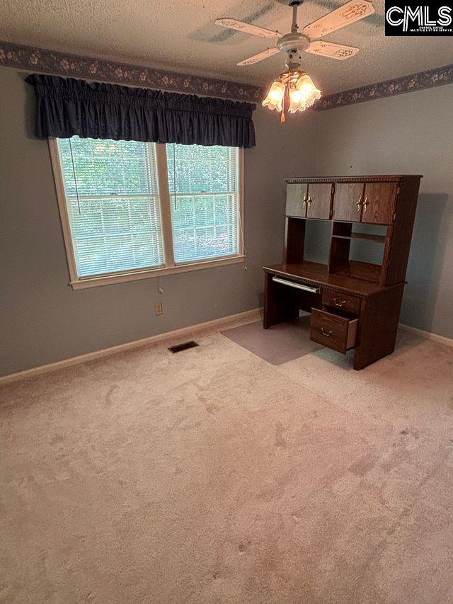 100 Clee Hill Ct, Irmo, SC 29063 - office area featuring plenty of natural light, a ceiling fan, a textured ceiling, and light carpet