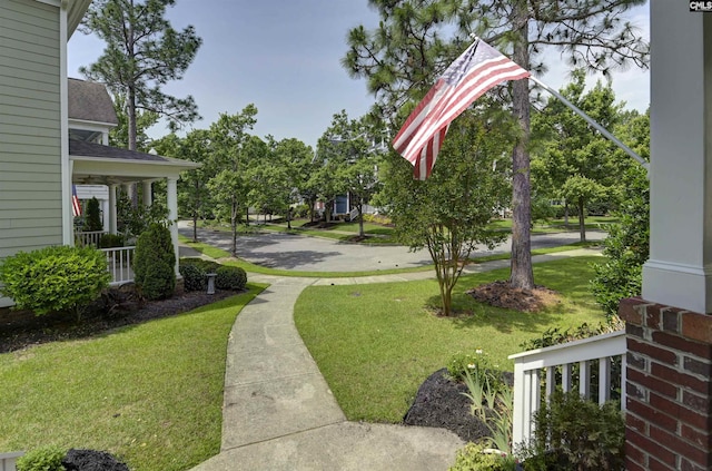 128 Van Der Horst Dr, Columbia, SC 29229 - view of green lawn with a porch