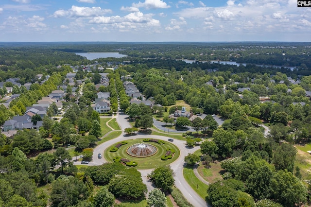 128 Van Der Horst Dr, Columbia, SC 29229 - aerial view of residential area featuring a nearby body of water