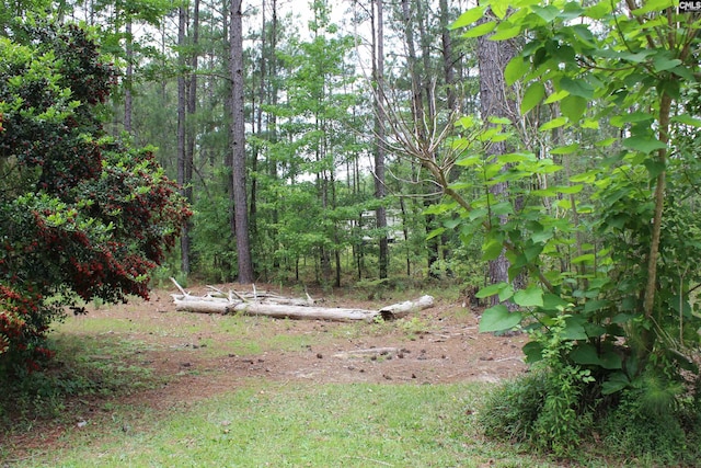 35 Wood Lake Dr, Lugoff, SC 29078 - view of yard