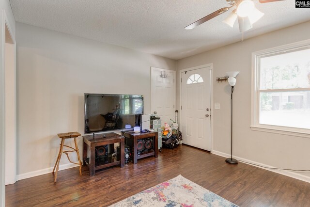 317 Westbridge Rd, Columbia, SC 29223 - entrance foyer with wood finished floors, ceiling fan, a textured ceiling, and baseboards