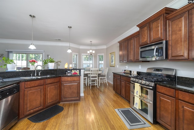 22 Genesis Ln, Camden, SC 29020 - kitchen featuring stainless steel appliances, a sink, a chandelier, healthy amount of natural light, and ornamental molding
