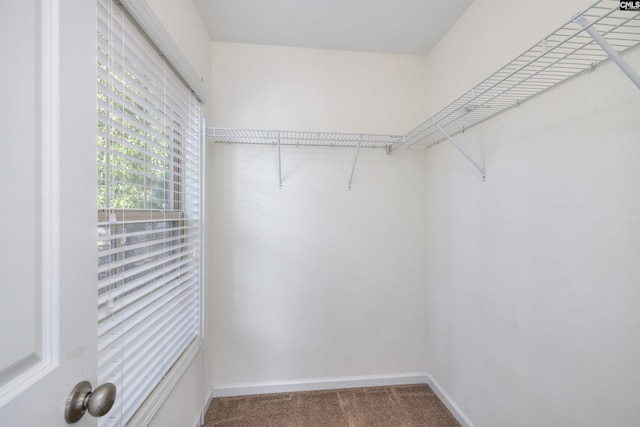 22 Genesis Ln, Camden, SC 29020 - spacious closet with carpet floors