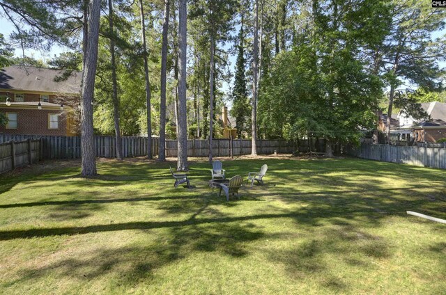 432 Running Fox Rd, Columbia, SC 29223 - view of yard