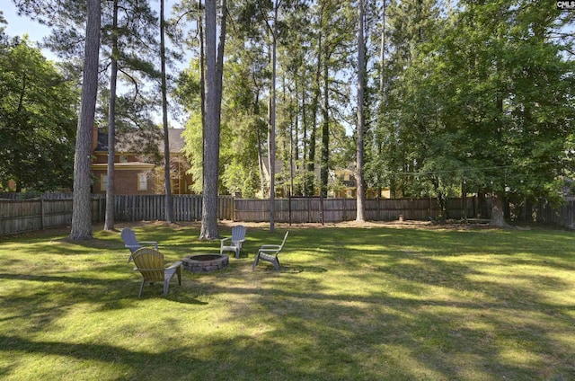 432 Running Fox Rd, Columbia, SC 29223 - view of yard featuring an outdoor fire pit