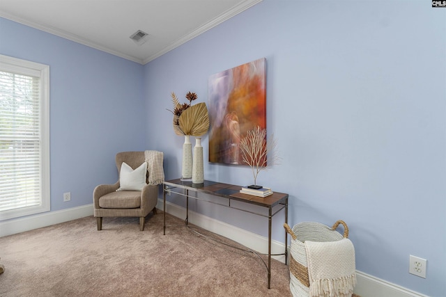 107 Sherborne Ln, Columbia, SC 29229 - living area with carpet, crown molding, plenty of natural light, and baseboards