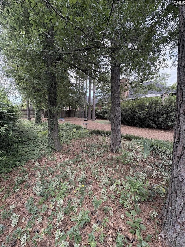 10 Tambridge Ct, Columbia, SC 29229 - view of yard