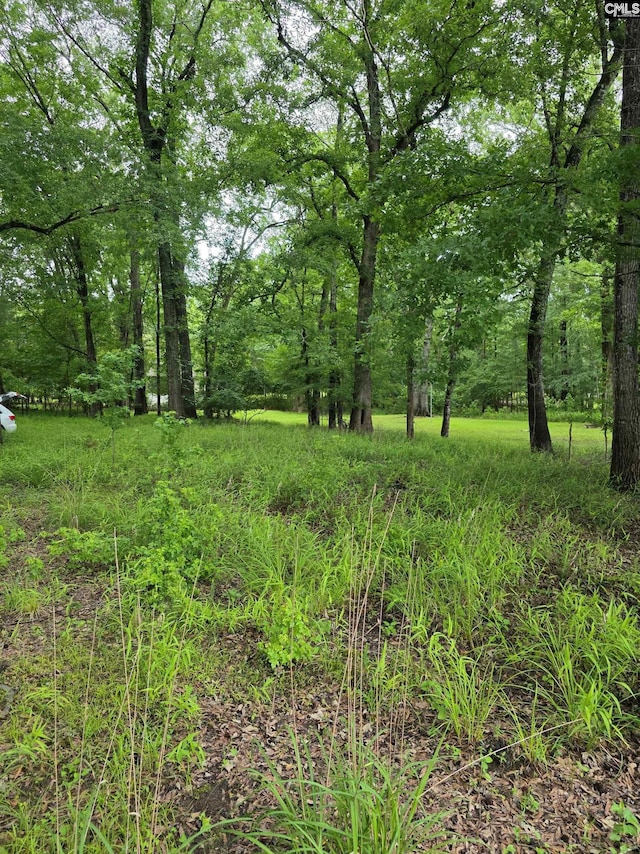 1595 Wateree Estates Rd, Winnsboro, SC 29180