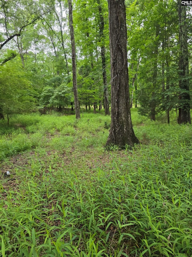 1595 Wateree Estates Rd, Winnsboro, SC 29180