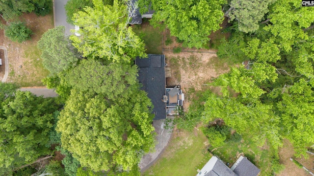 173 Snow Ln, Lexington, SC 29073 - bird's eye view