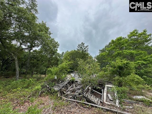 123 Landreth Ct, Gaston, SC 29053