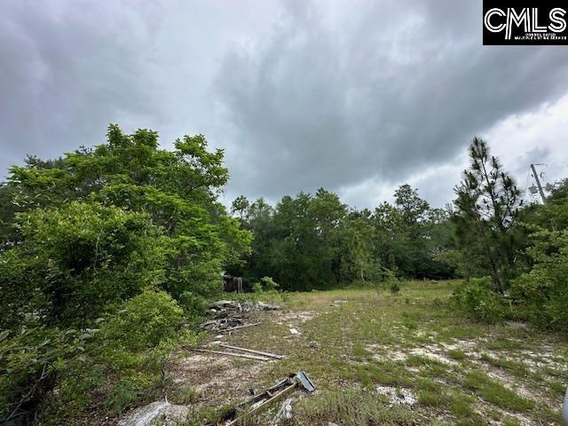 123 Landreth Ct, Gaston, SC 29053