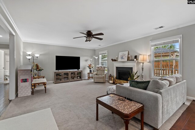 2 Casey Dr, Elgin, SC 29045 - living area with ceiling fan, crown molding, a fireplace, and baseboards