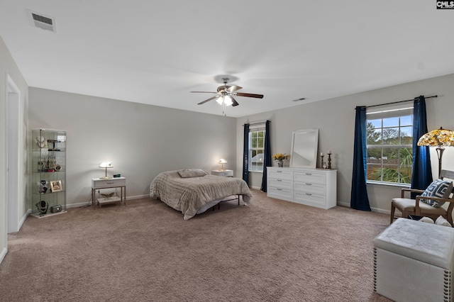 2 Casey Dr, Elgin, SC 29045 - bedroom with light carpet, multiple windows, and baseboards