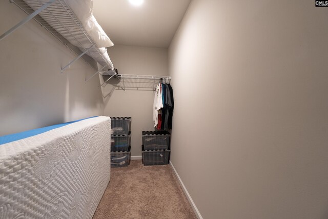 2 Casey Dr, Elgin, SC 29045 - walk in closet featuring carpet flooring