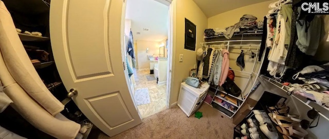 1 Twinspur Ct, Columbia, SC 29229 - walk in closet with carpet floors