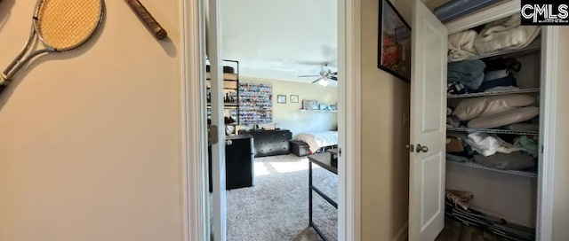 1 Twinspur Ct, Columbia, SC 29229 - hall featuring carpet floors