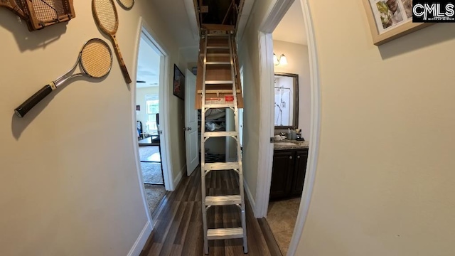 1 Twinspur Ct, Columbia, SC 29229 - corridor with dark wood finished floors, a sink, and baseboards