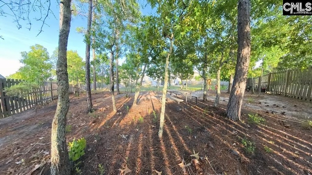 1 Twinspur Ct, Columbia, SC 29229 - view of yard