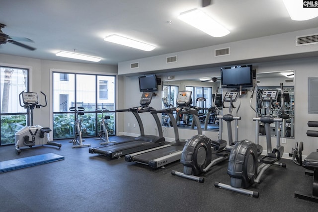1085 Shop Rd Unit 337, Columbia, SC 29201 - gym featuring a ceiling fan