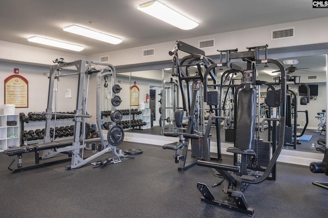 1085 Shop Rd Unit 337, Columbia, SC 29201 - view of gym