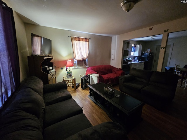 204 Crawford Rd, Columbia, SC 29203 - living room featuring wood finished floors
