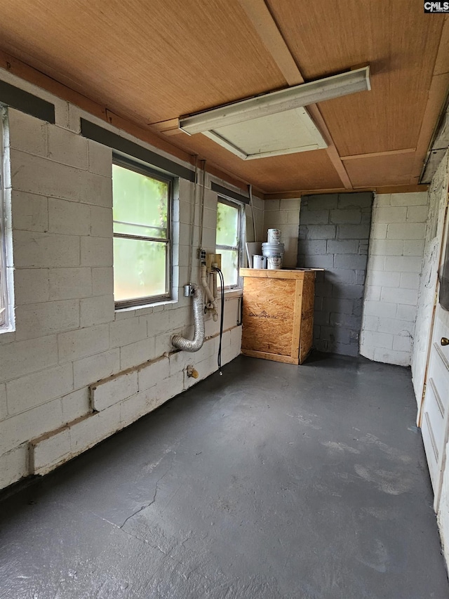 202 Crawford Rd, Columbia, SC 29203 - below grade area with concrete block wall