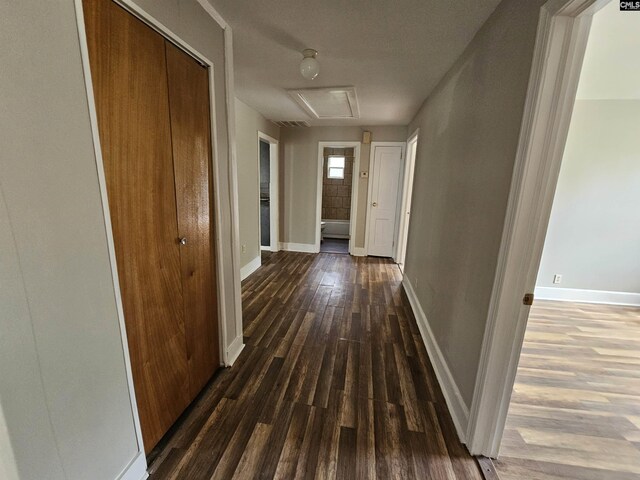 202 Crawford Rd, Columbia, SC 29203 - hallway featuring wood finished floors, baseboards, and attic access