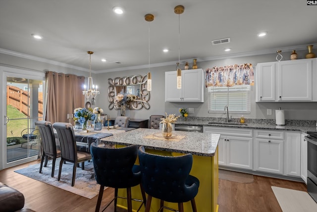 1020 Cameron Ridge Dr, Columbia, SC 29209 - kitchen featuring a sink, a center island, light stone countertops, white cabinets, and dark wood-style flooring