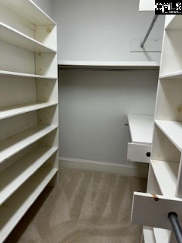117 York Commons, Lexington, SC 29072 - spacious closet featuring carpet floors