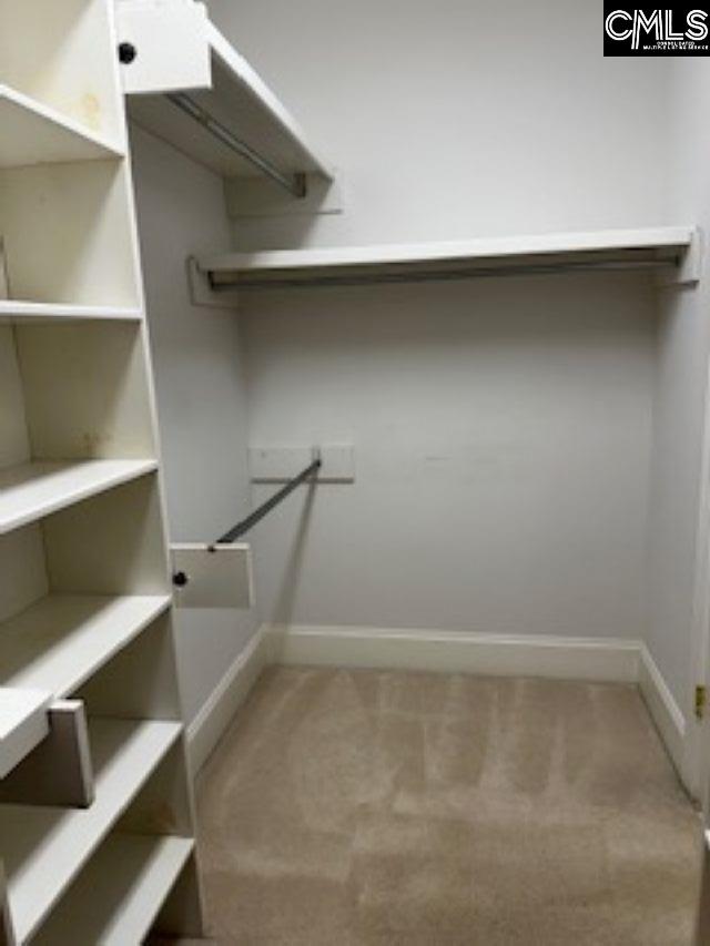 117 York Commons, Lexington, SC 29072 - spacious closet featuring carpet flooring