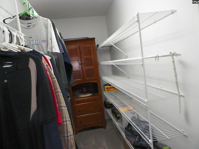 217 Tattlers Trl, Irmo, SC 29063 - view of spacious closet