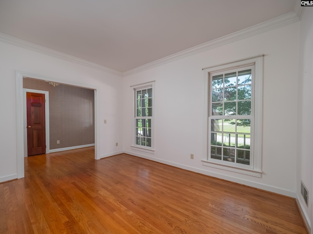 117 Falmouth Rise Rd, Columbia, SC 29229 - empty room with ornamental molding, plenty of natural light, light wood-style floors, and baseboards