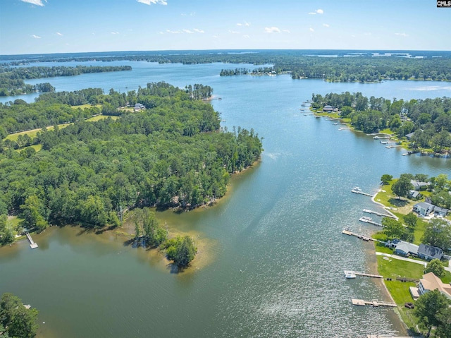 175 Stoney Pointe Dr, Chapin, SC 29036 - view of property location featuring a large body of water and a forest