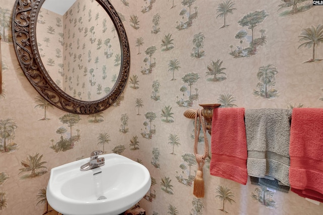 175 Stoney Pointe Dr, Chapin, SC 29036 - bathroom with a sink and wallpapered walls