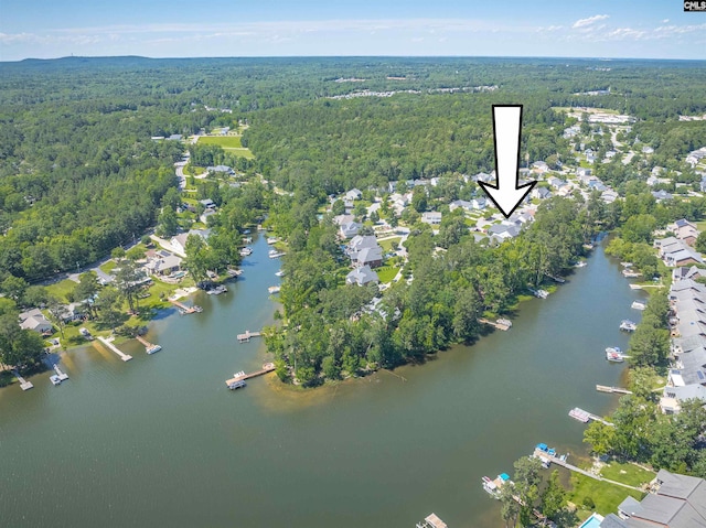 175 Stoney Pointe Dr, Chapin, SC 29036 - aerial view of property and surrounding area featuring a heavily wooded area and a large body of water
