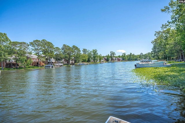 175 Stoney Pointe Dr, Chapin, SC 29036 - water view with a dock
