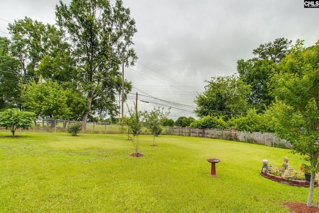 1921 Cunningham Rd, Columbia, SC 29210 - view of yard