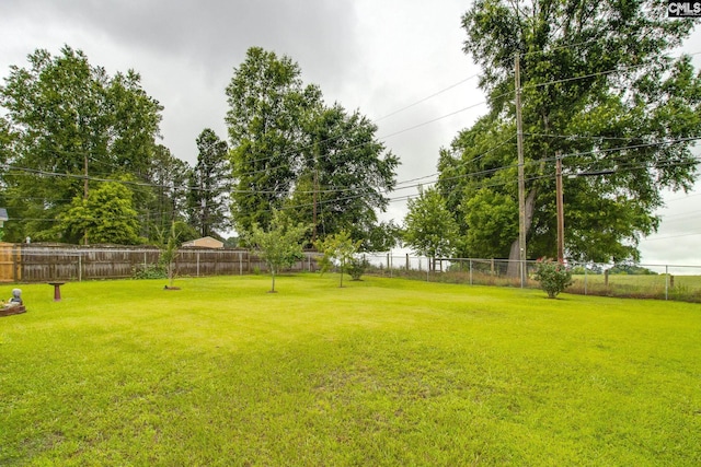1921 Cunningham Rd, Columbia, SC 29210 - view of yard