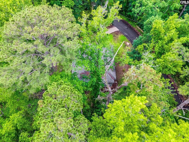 3308 Keenan Dr, Columbia, SC 29201 - bird's eye view