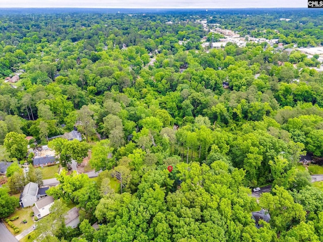 3308 Keenan Dr, Columbia, SC 29201 - bird's eye view of a forest