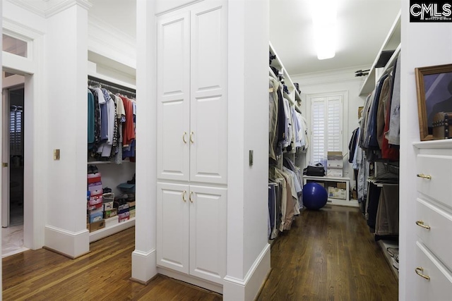 7021 Cleaton Rd, Columbia, SC 29206 - walk in closet with dark wood-style floors