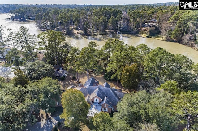 7021 Cleaton Rd, Columbia, SC 29206 - drone / aerial view of a large body of water and a heavily wooded area