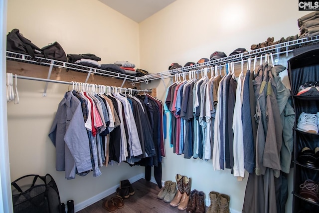 209 Windsor Trace Dr, Columbia, SC 29209 - walk in closet with wood finished floors