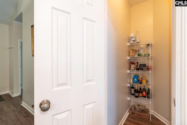 209 Windsor Trace Dr, Columbia, SC 29209 - view of pantry
