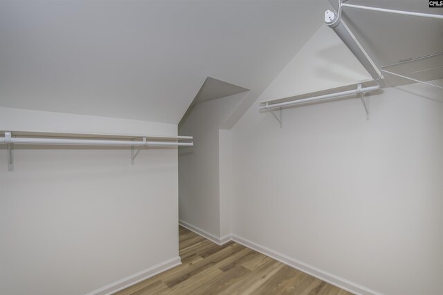 108 Bickleigh Rd, Irmo, SC 29063 - walk in closet with vaulted ceiling and light wood-style floors