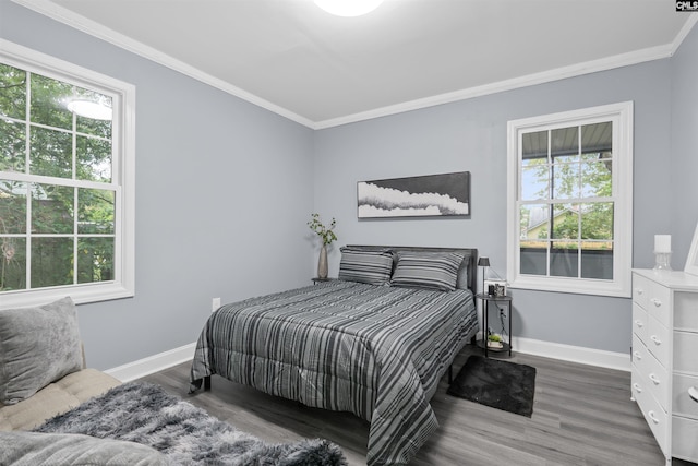 618 Joan St, Columbia, SC 29203 - bedroom with multiple windows, wood finished floors, ornamental molding, and baseboards